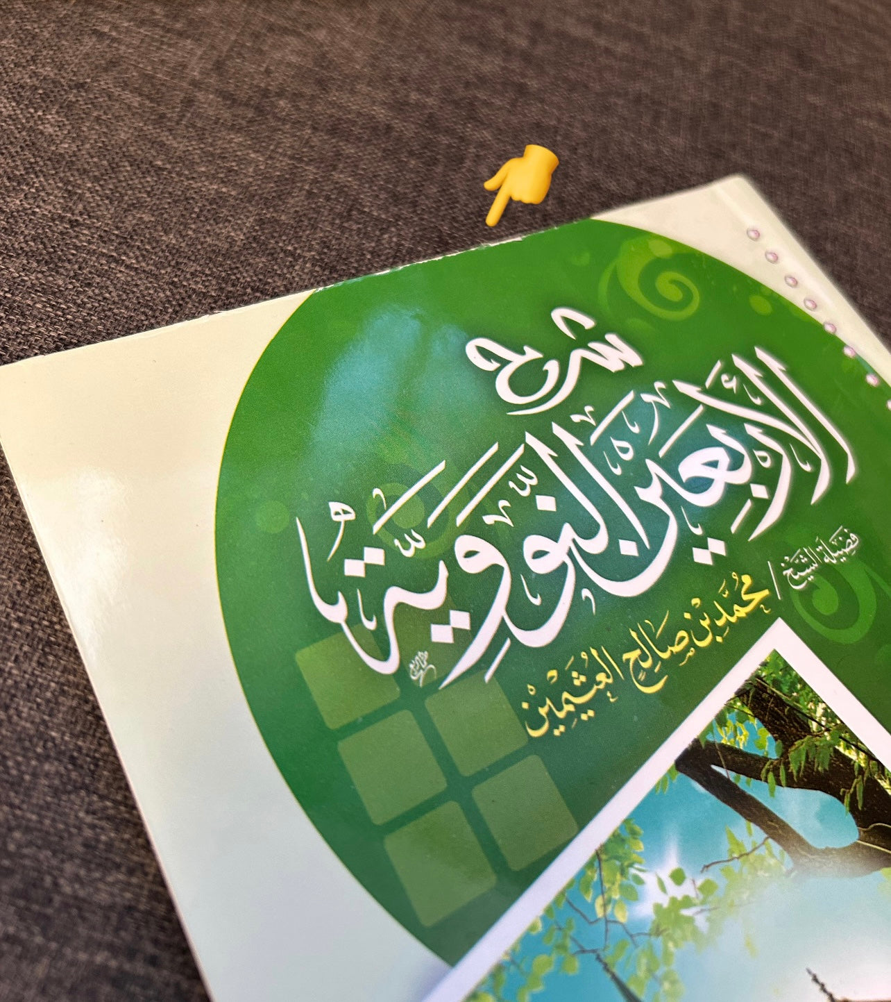 Sharh Al Arba'in An Nawawiyyah de Shaykh Al 'Uthaymin - شرح الأربعين النووية