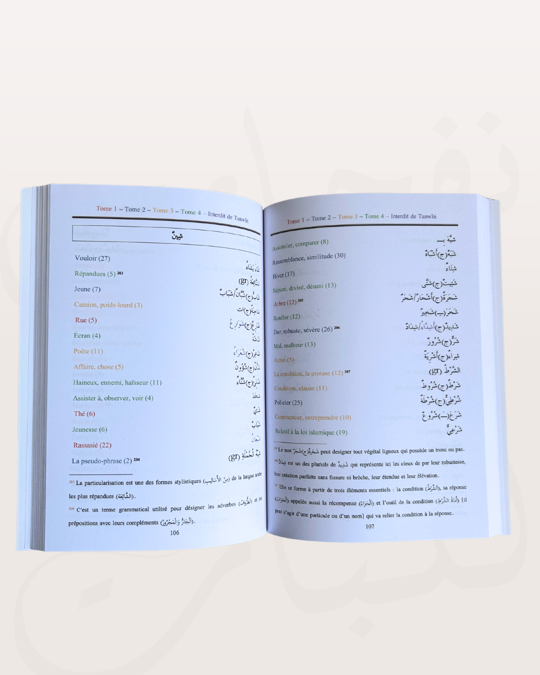 Lexique des mots des Tomes de Médine