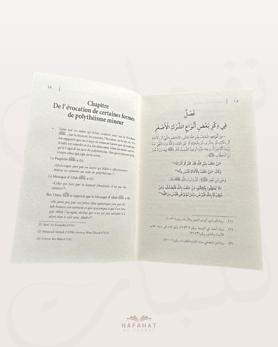 Le polythéisme mineur - Par le Shaykh ‘Abd Al 'Azîz ibn 'Abd Allah Ar Râjihî